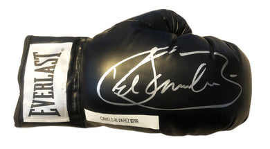 James SmithBone Crusher Signed Everlast Boxing Glove JSA 134531